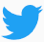 Twitter Icon